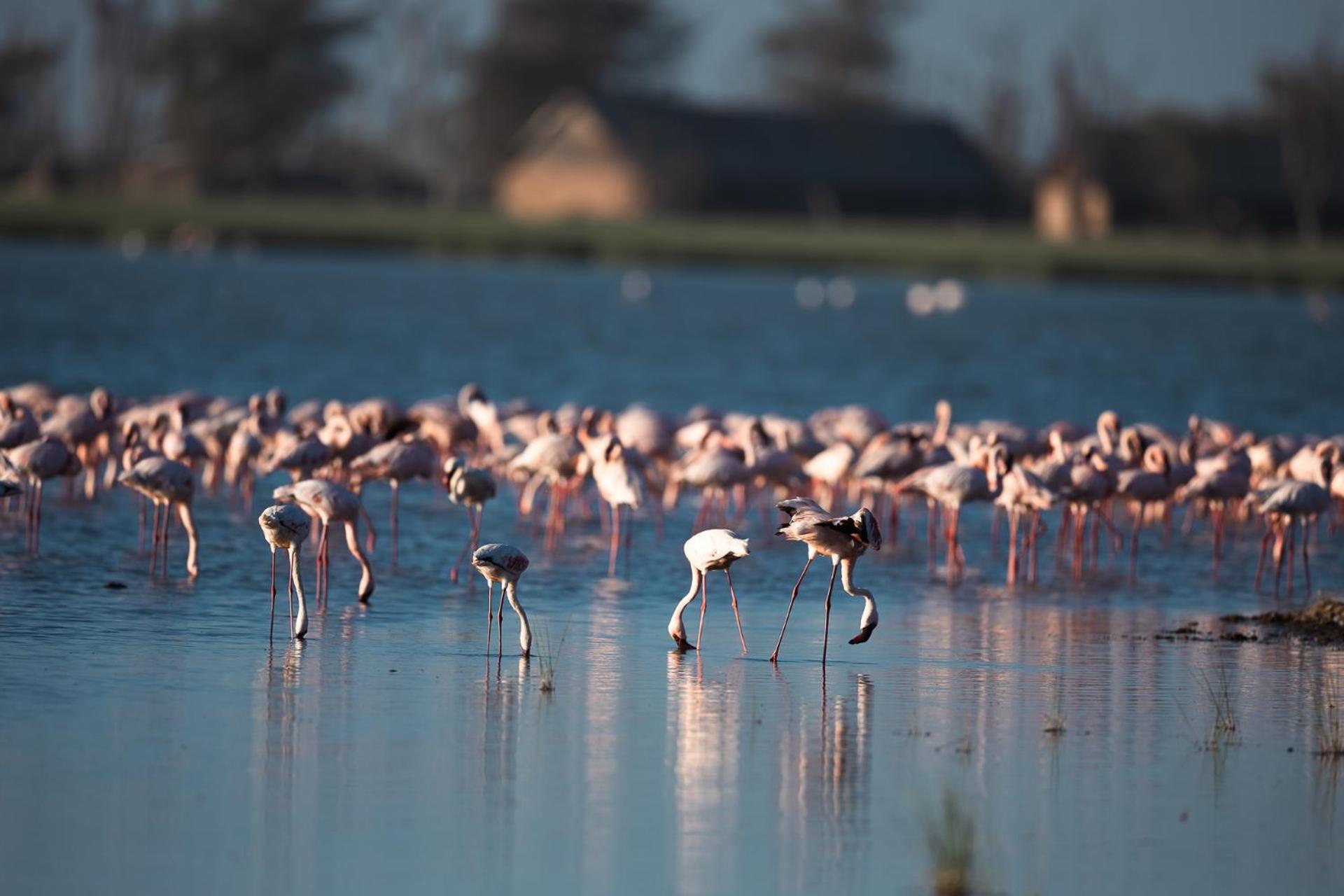 Amboseli Glass House Oloitokitok エクステリア 写真