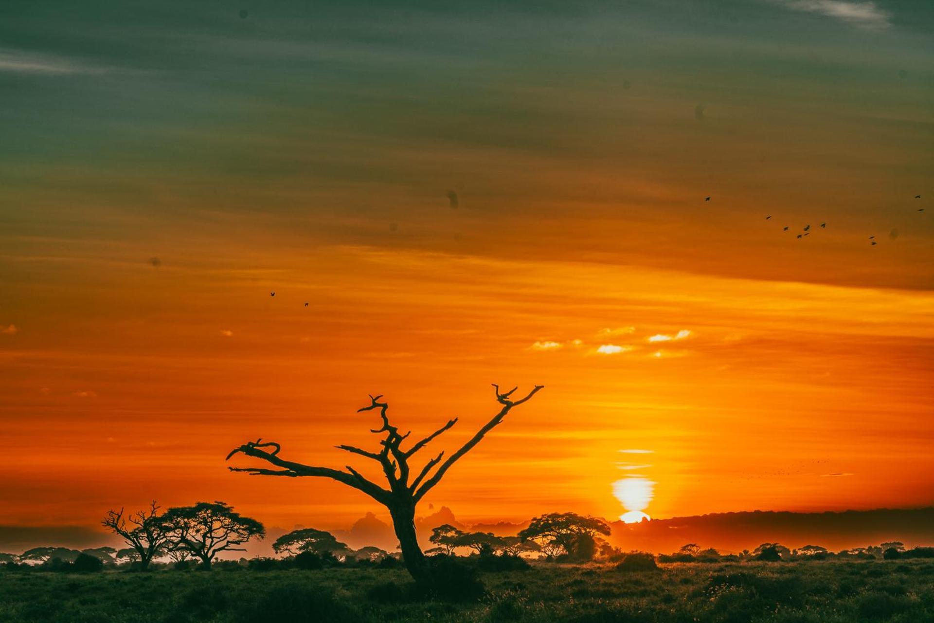 Amboseli Glass House Oloitokitok エクステリア 写真