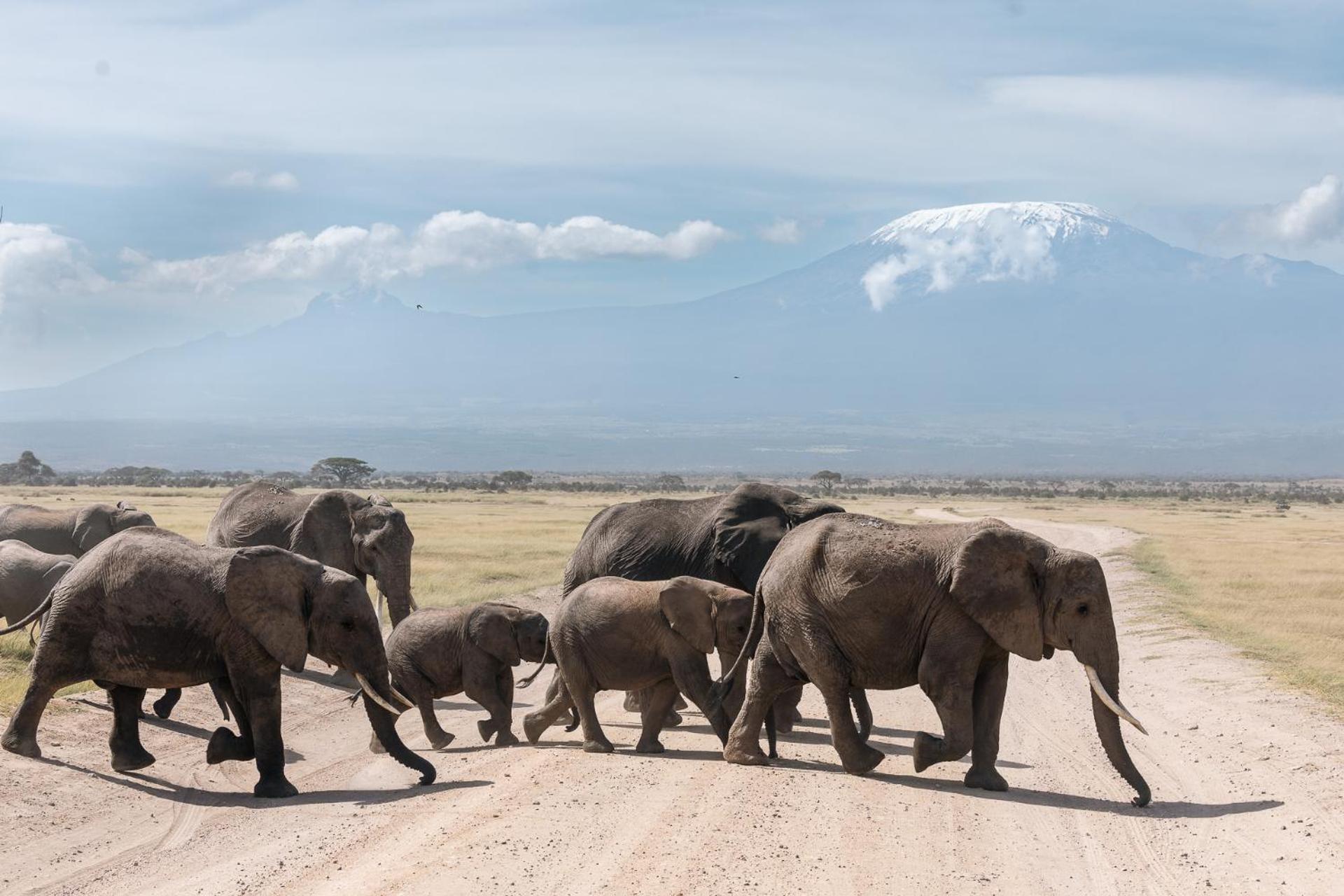 Amboseli Glass House Oloitokitok エクステリア 写真
